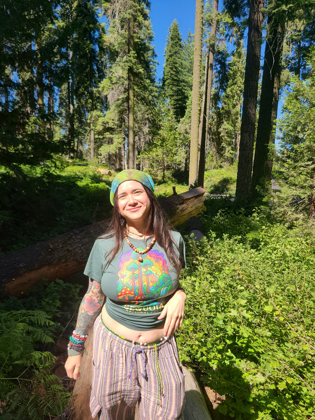 Sequoia Dreamscape Tee